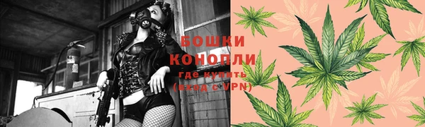 apvp Арсеньев