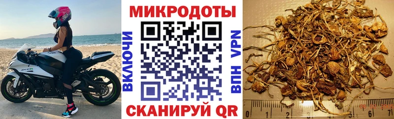 купить наркотики цена  Нижнеудинск  Галлюциногенные грибы Psilocybine cubensis 